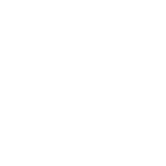 tdu
